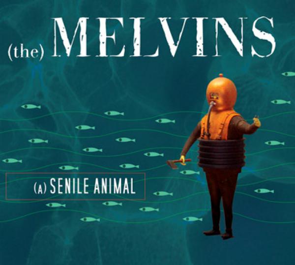 Melvins – (a) Senile Animal