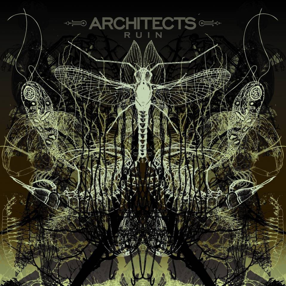 Architects – Ruin