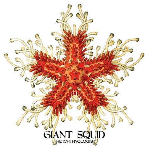 Giant Squid – The Ichtyologist