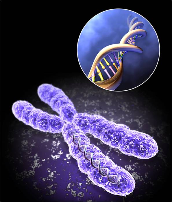 Une réalité science-fictive: le génome, « source de tout ».