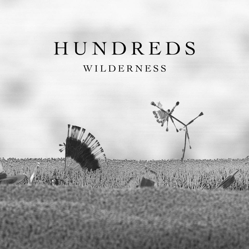 Hundreds – Wilderness