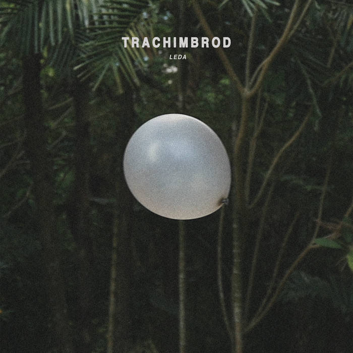 Trachimbrod – Leda