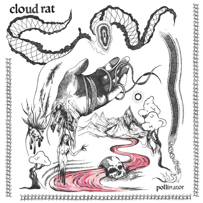 Cloud Rat – Pollinator