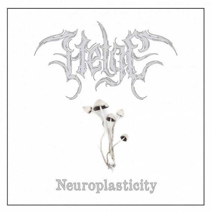 Helge – Neuroplasticity