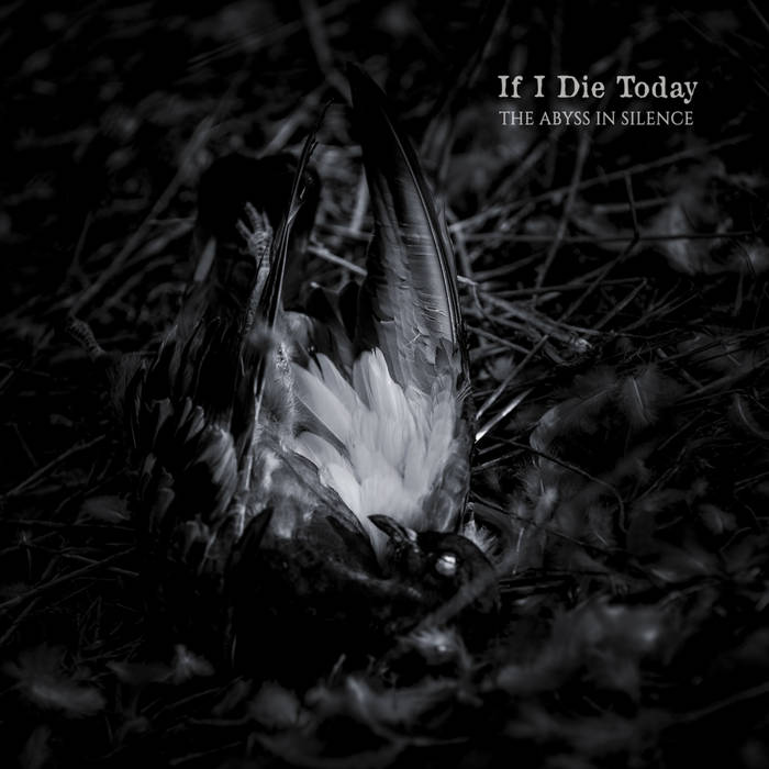 If I Die Today – The Abyss In Silence
