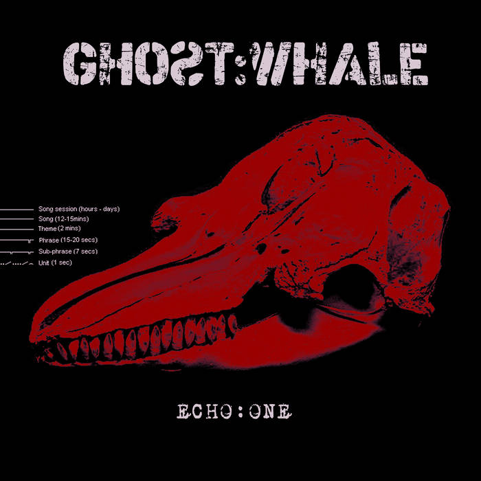 Ghost:Whale – Echo:One