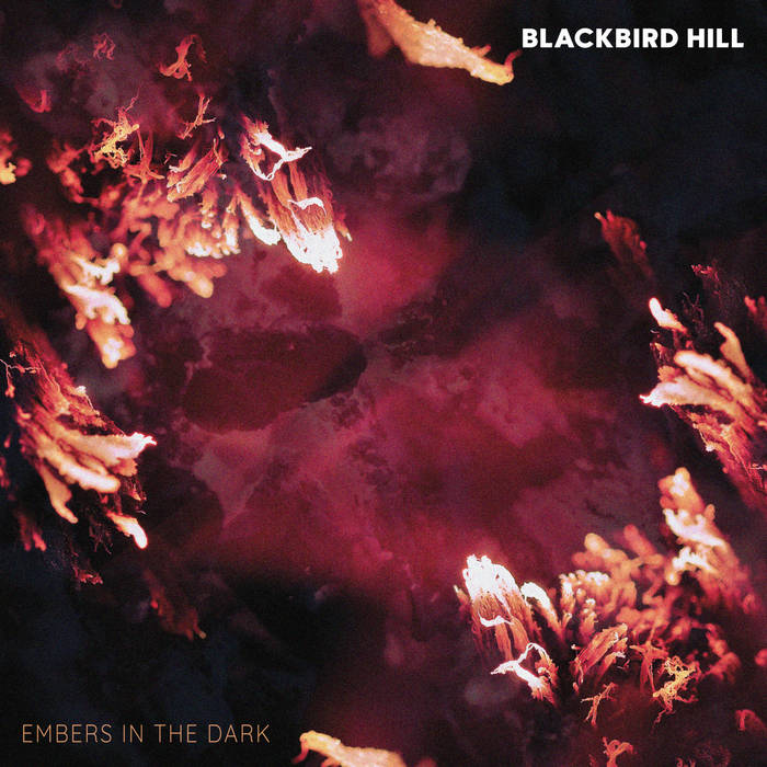 Blackbird Hill – Embers In The Dark