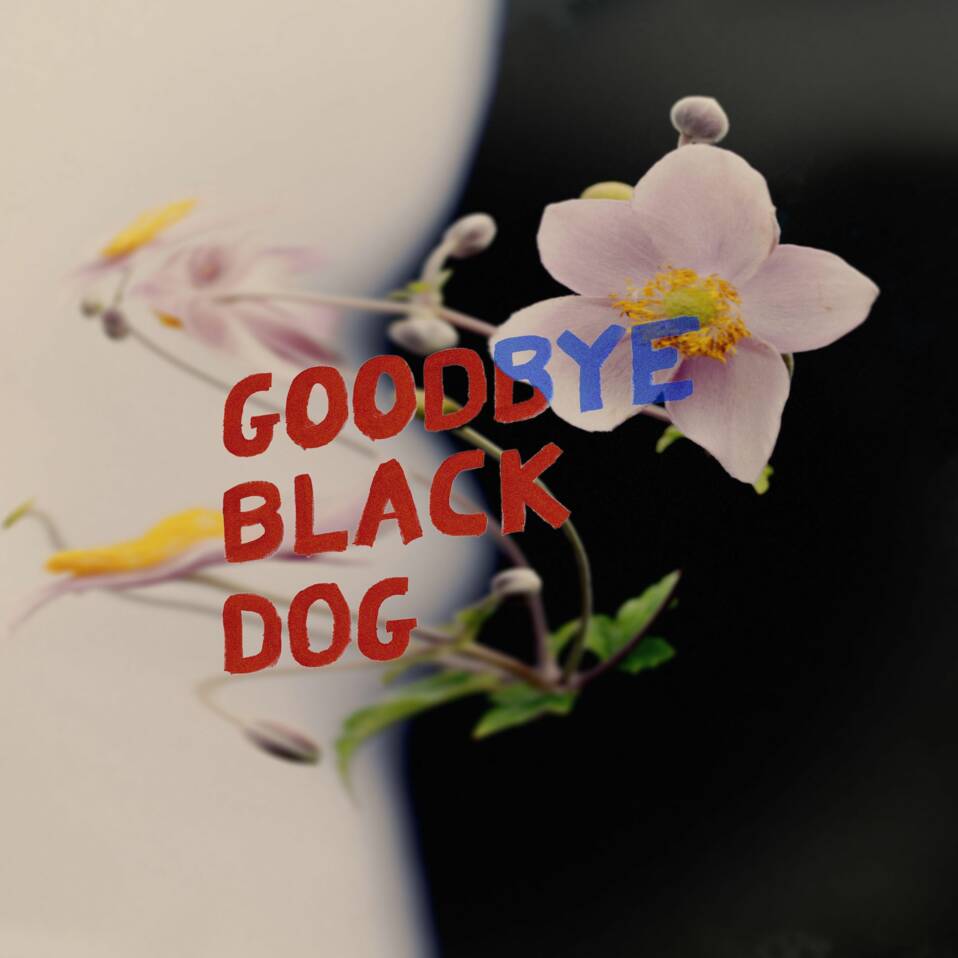 Purrs – Goodbye Black Dog