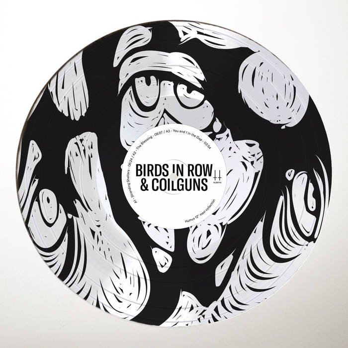 Birds In Row & Coilguns – You and I in the Gap